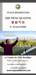 Lire la suite à propos de l’article STAGE RÉSIDENTIEL : ZHI NENG QI GONG