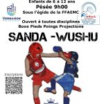 Lire la suite à propos de l’article Compétitions enfants Sanda – Wushu
